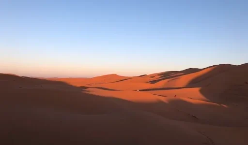 sahara20182