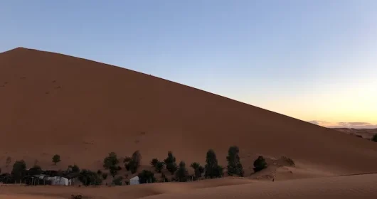 sahara20183
